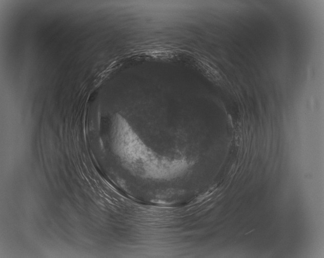 X0000081411298200701121158