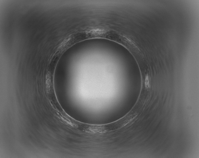 X0000081411299200701121158