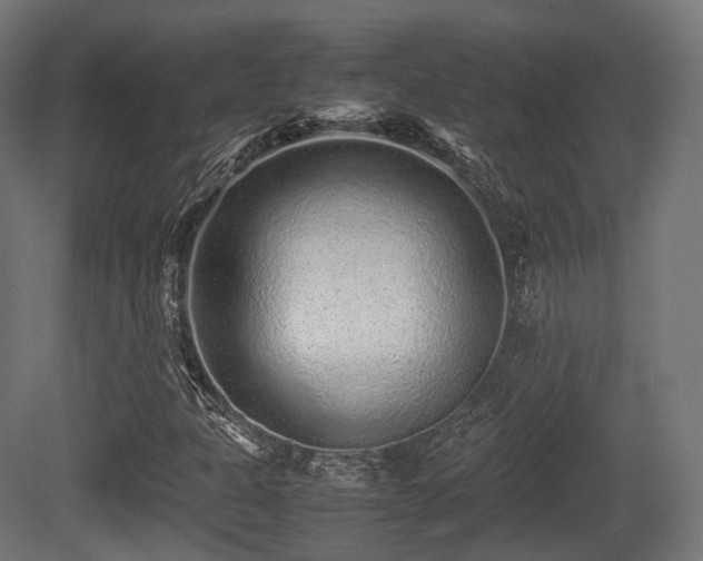 X0000081411301200701121158