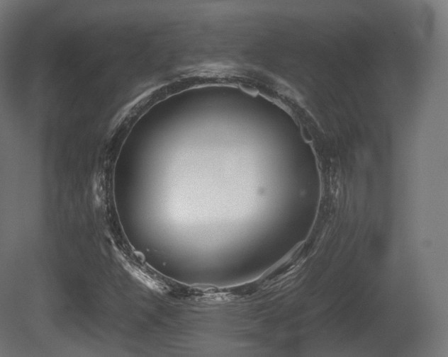 X0000081411304200701121158