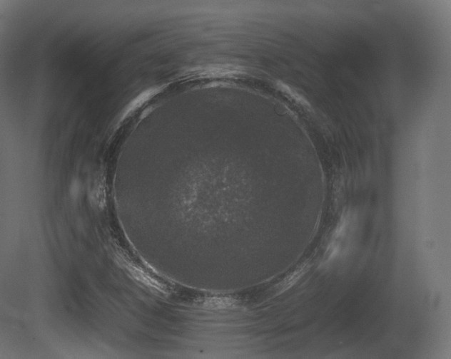 X0000081411306200701121158
