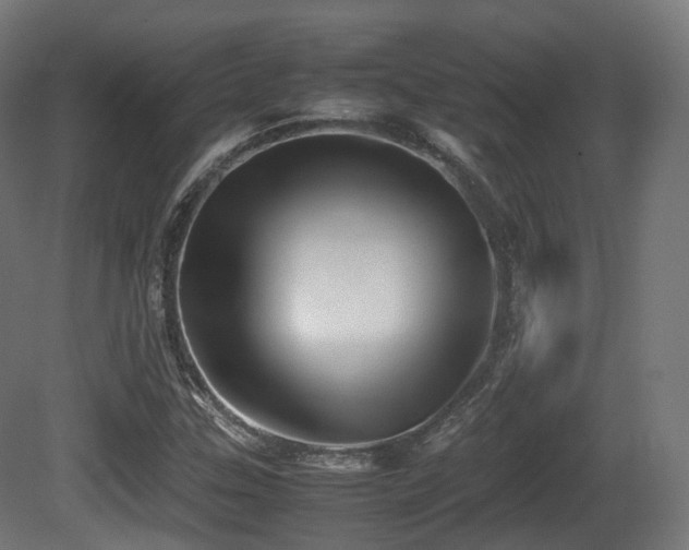 X0000081411307200701121158