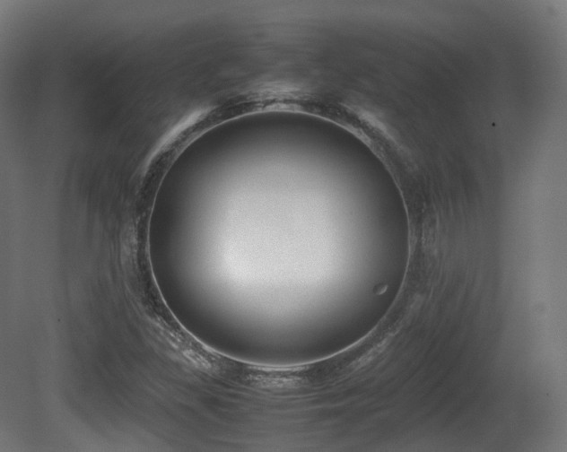 X0000081411309200701121158