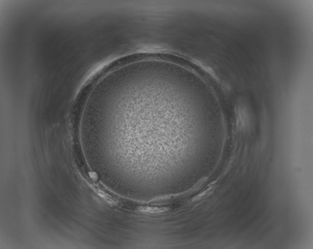 X0000081411311200701121158