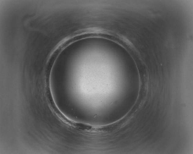 X0000081411318200701121159