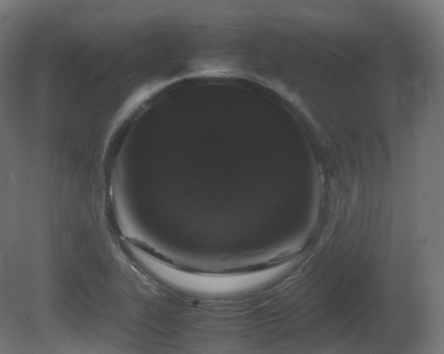 X0000081411319200701121159