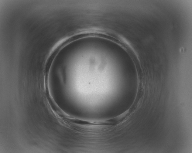 X0000081411320200701121159