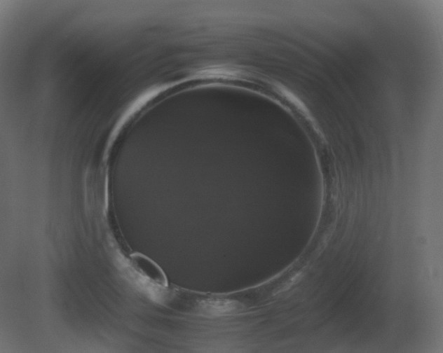 X0000081411323200701121159