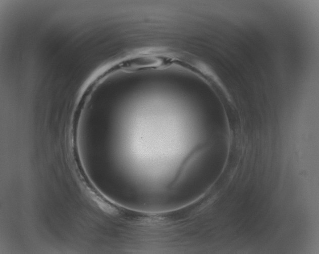 X0000081411328200701121159