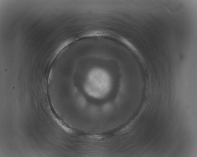 X0000081411329200701121159