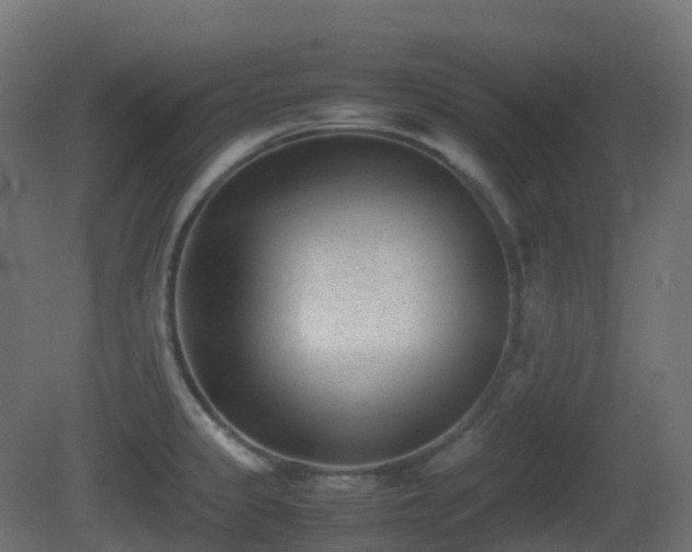 X0000081411333200701121159