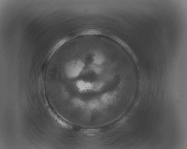 X0000081411337200701121159