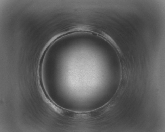 X0000081411339200701121159