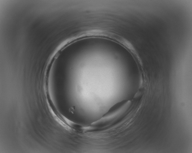 X0000081411342200701121159