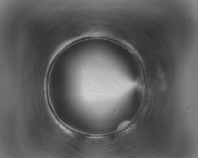 X0000081411343200701121159