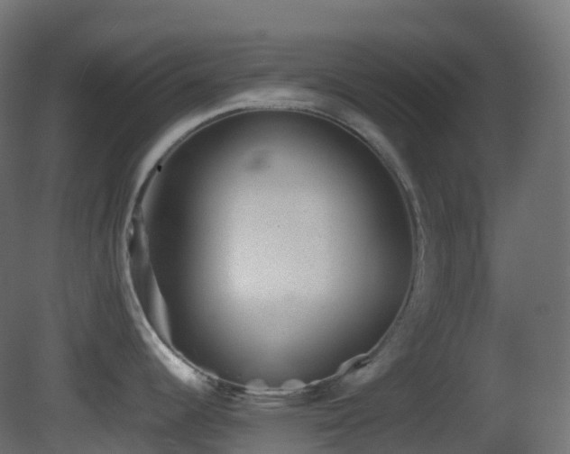 X0000081411344200701121159