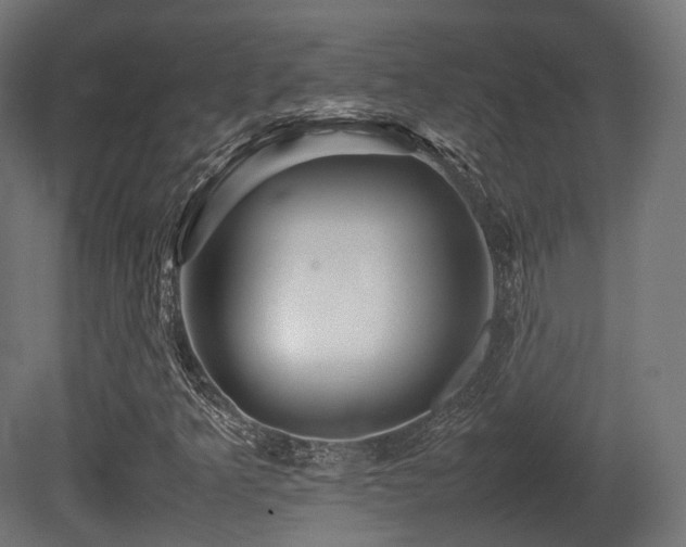 X0000081411349200701121158