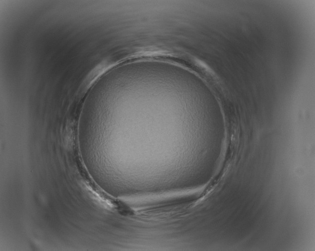 X0000081411361200701121158