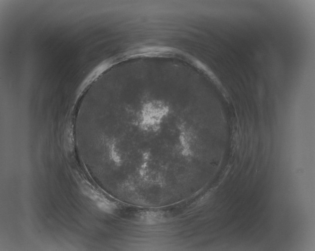X0000081411362200701121158