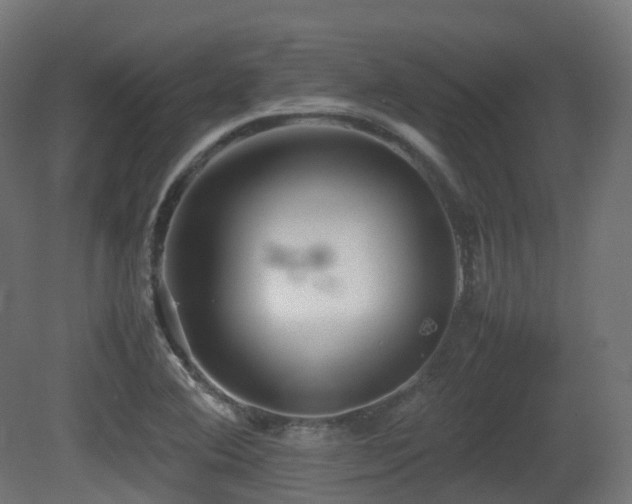 X0000081411364200701121158