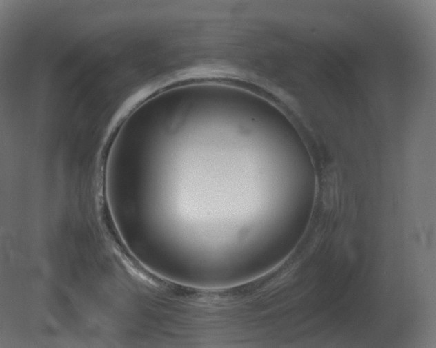 X0000081411366200701121158