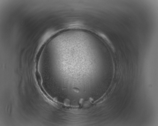 X0000081411376200701121158
