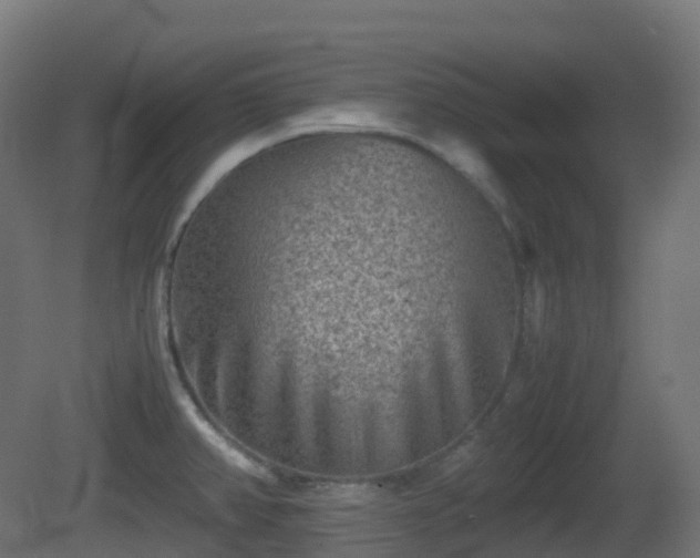 X0000081411382200701121157