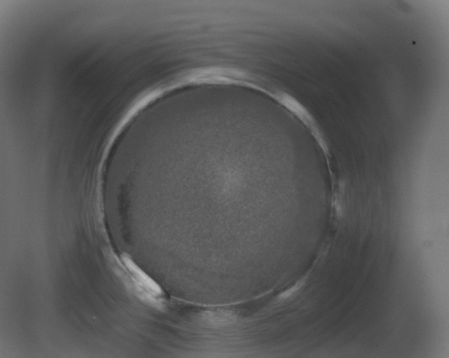 X0000081411384200701121157