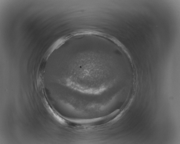 X0000081411385200701121157