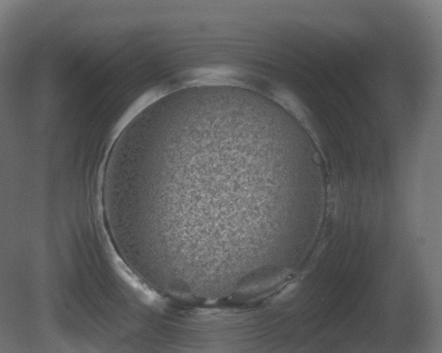 X0000081411386200701121157