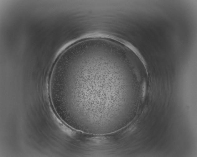 X0000081411388200701121157