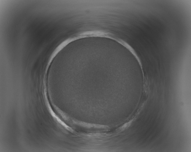 X0000081411389200701121157