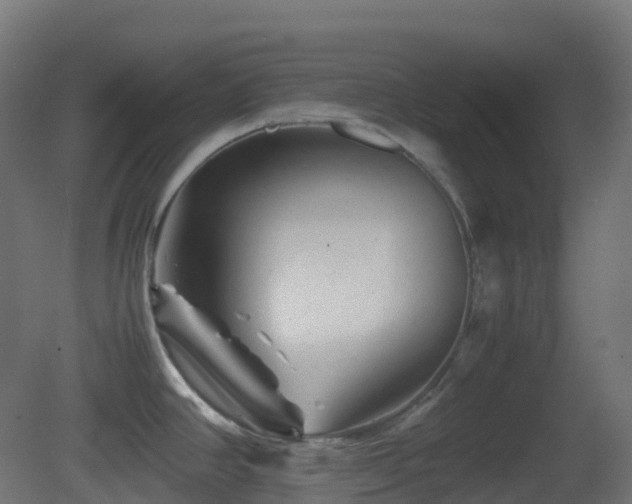 X0000081411390200701121157