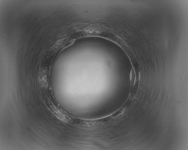 X0000081411396200701121157