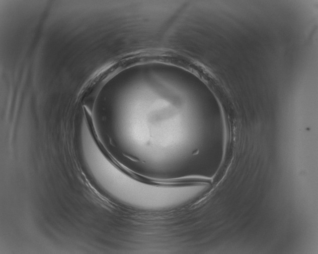 X0000081411402200701121157
