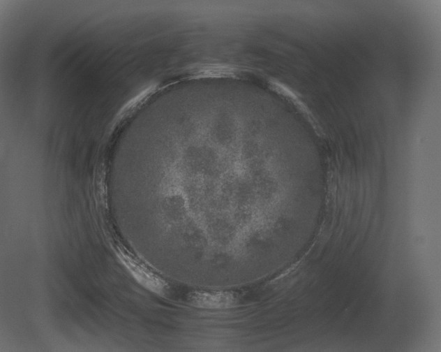 X0000081411403200701121157
