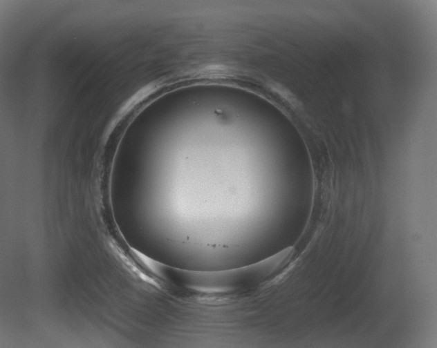 X0000081411410200701121157