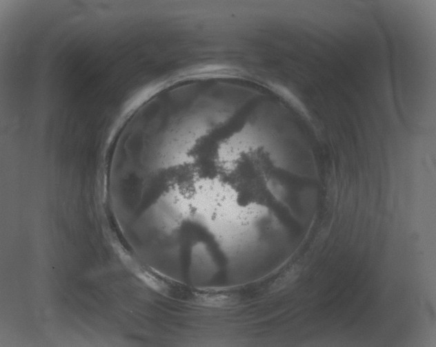 X0000081411413200701121157