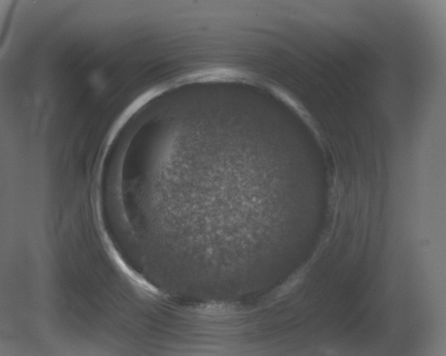 X0000081411418200701121157