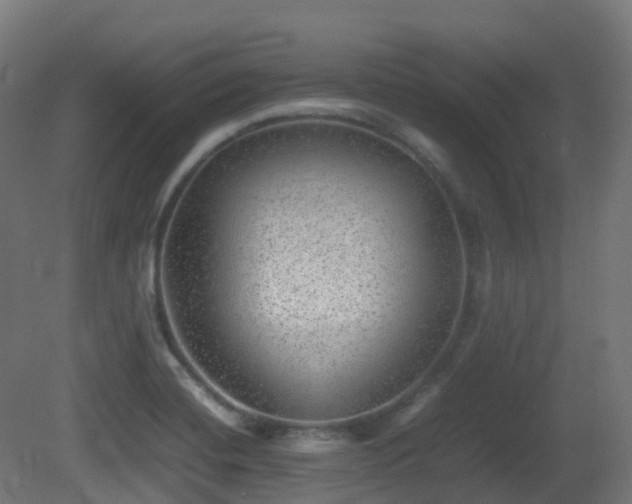 X0000081411420200701121157
