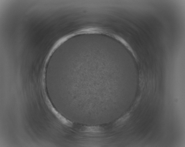 X0000081411421200701121157