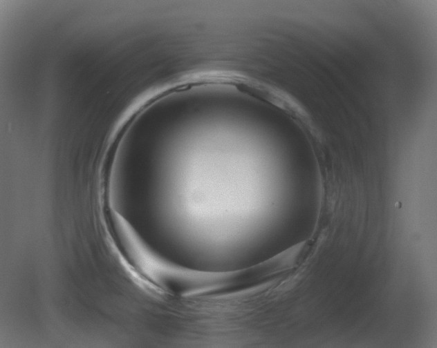 X0000081411430200701121157