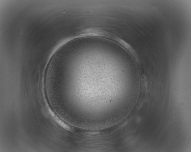 X0000081411431200701121157