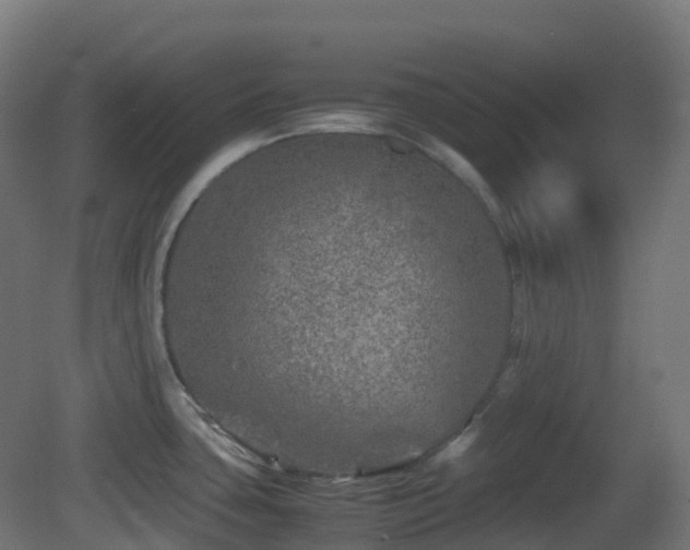 X0000081411435200701121157