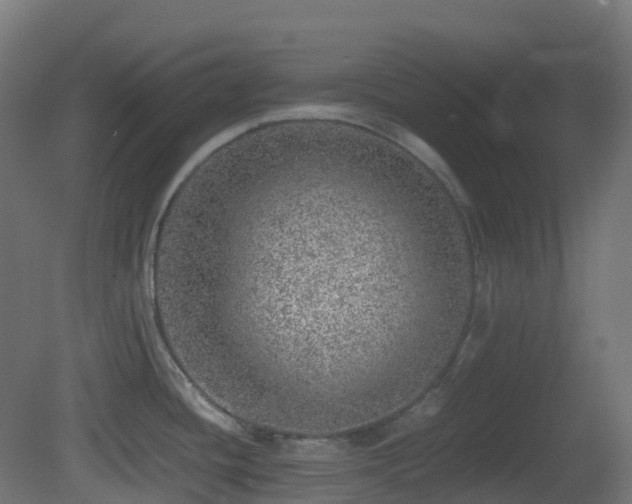 X0000081411436200701121157