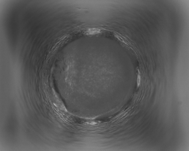 X0000081411441200701121156