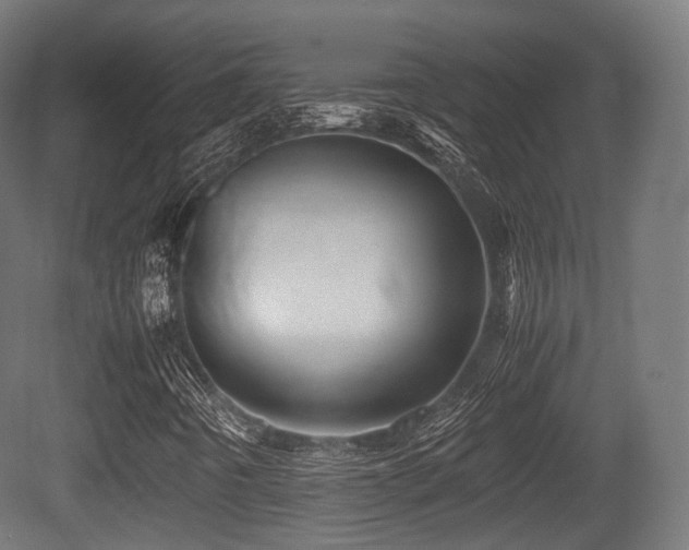 X0000081411442200701121156