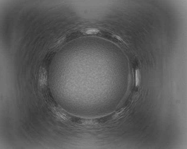 X0000081411443200701121156