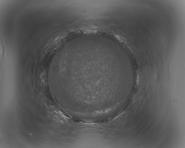 X0000081411445200701121156