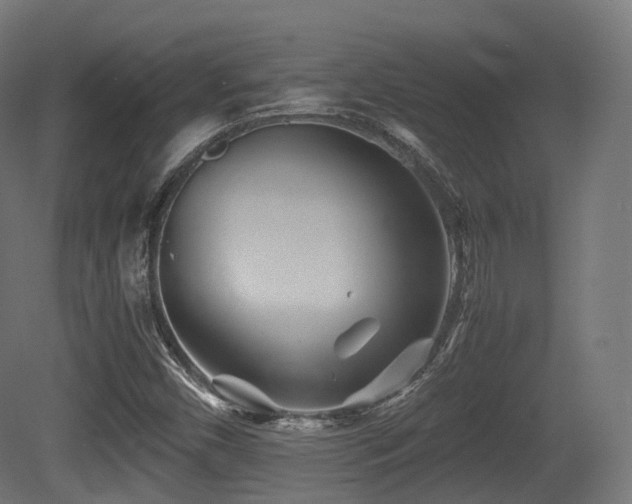 X0000081411450200701121156